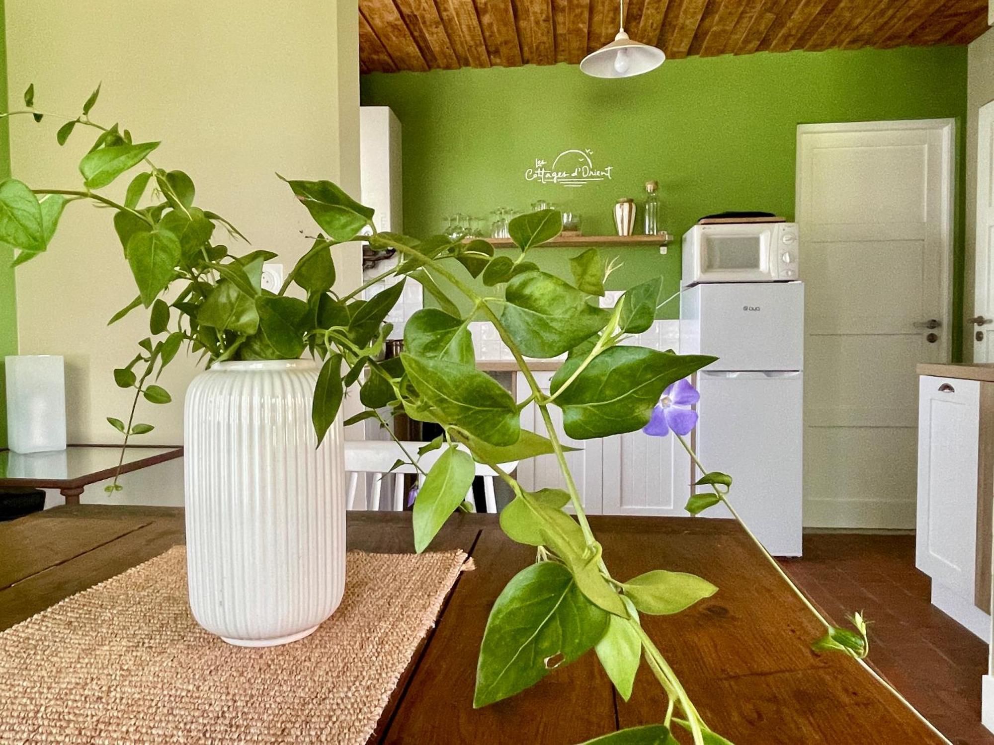 Les Cottages D'Orient Gite Boutique เมส์นิล-แซ็งต์-แปร์ ภายนอก รูปภาพ